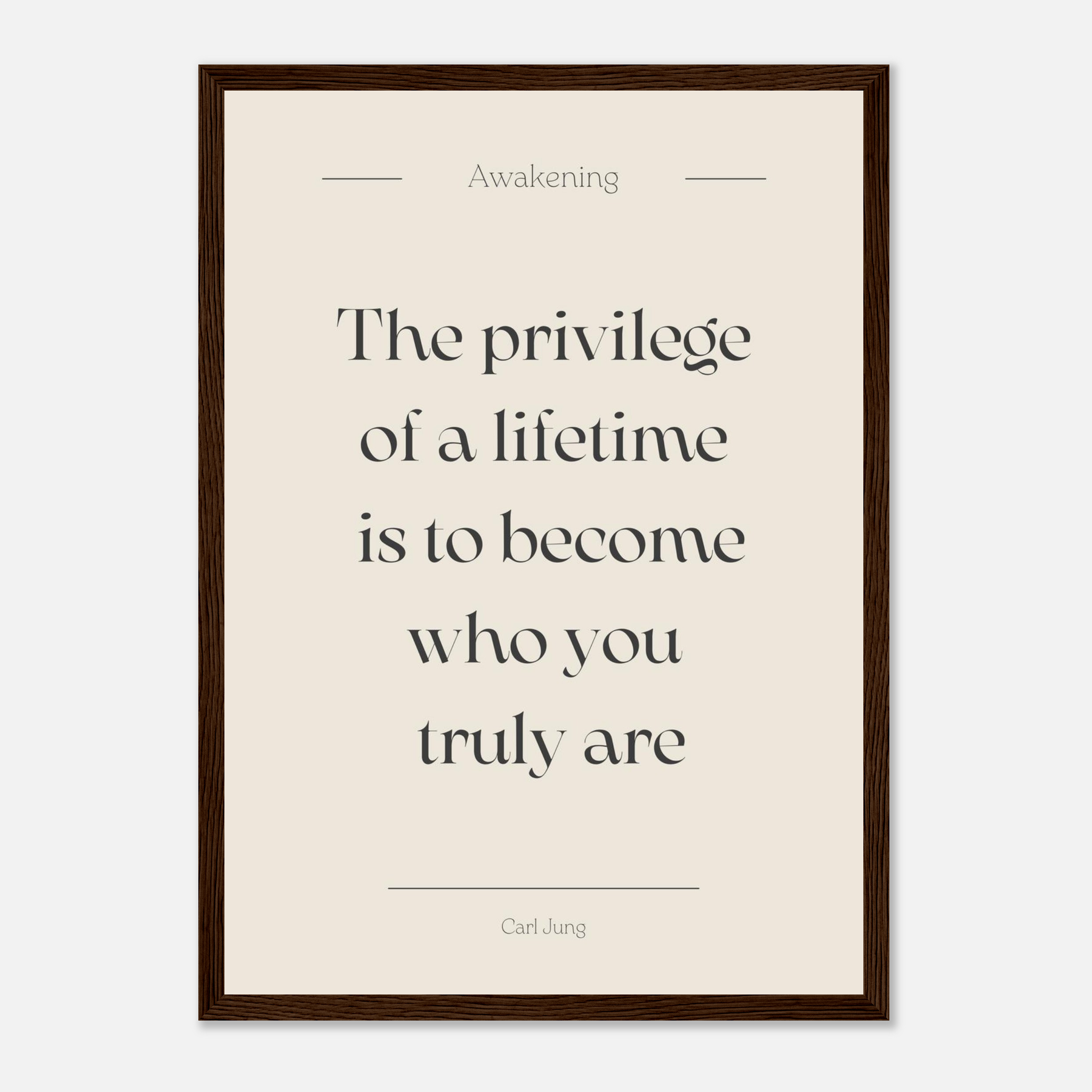 8749fec2-6b3c-4cbb-b724-2185169d964c